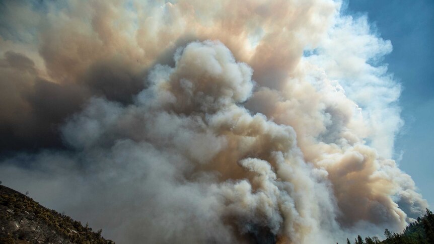 Smoke fills the sky above a forest of trees.