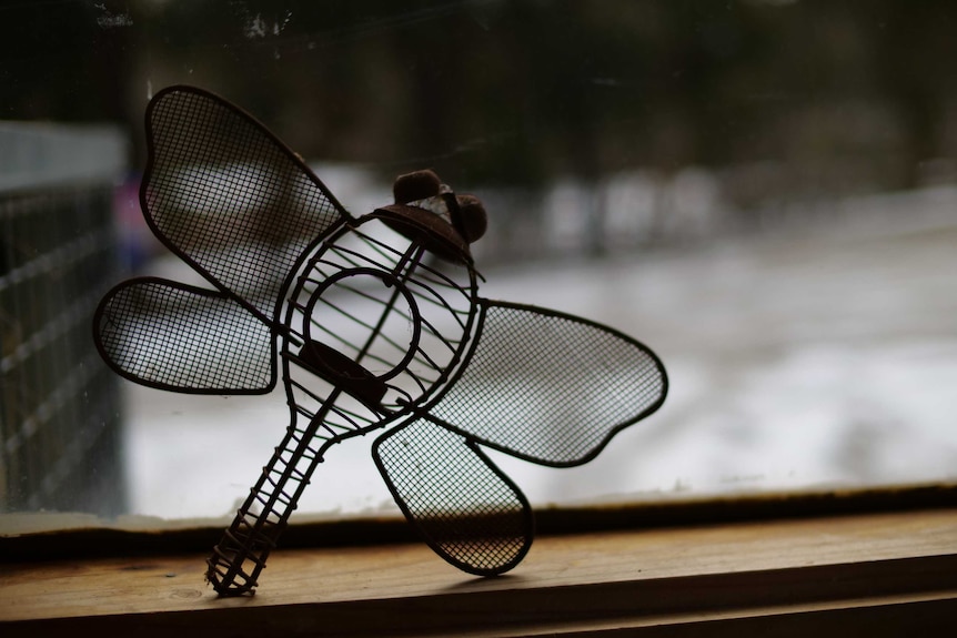 A wire sculpture in the shape of a dragonfly sits in a windowframe. Outside there is snow on the ground.