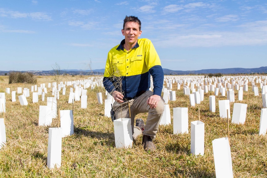 Stuart Blanch kneels next to planted trees.