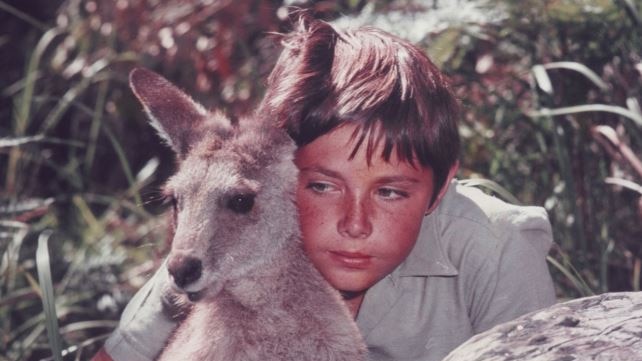 Everyone's favourite kangaroo turns 50!