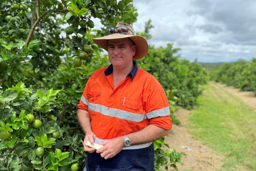 Photo of a man in front of an orchard.