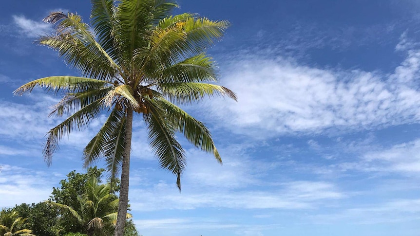 The coastline of the Pacific nation of Tuvalu.