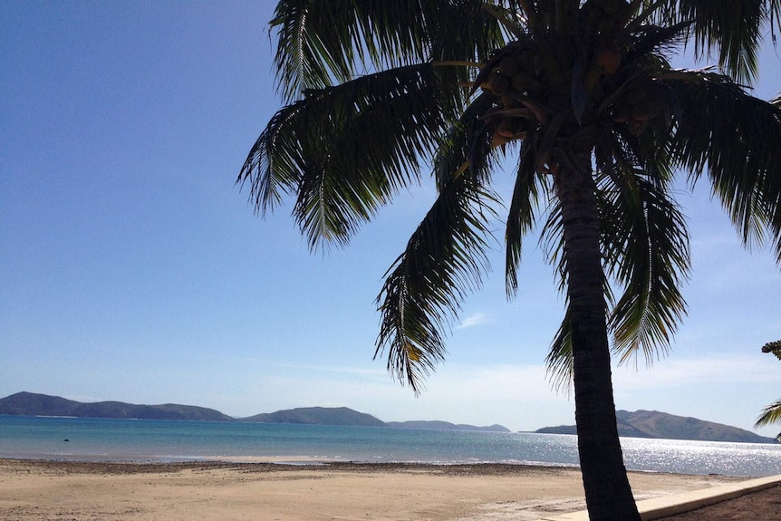 From some angles Palm Island looks like a tropical paradise