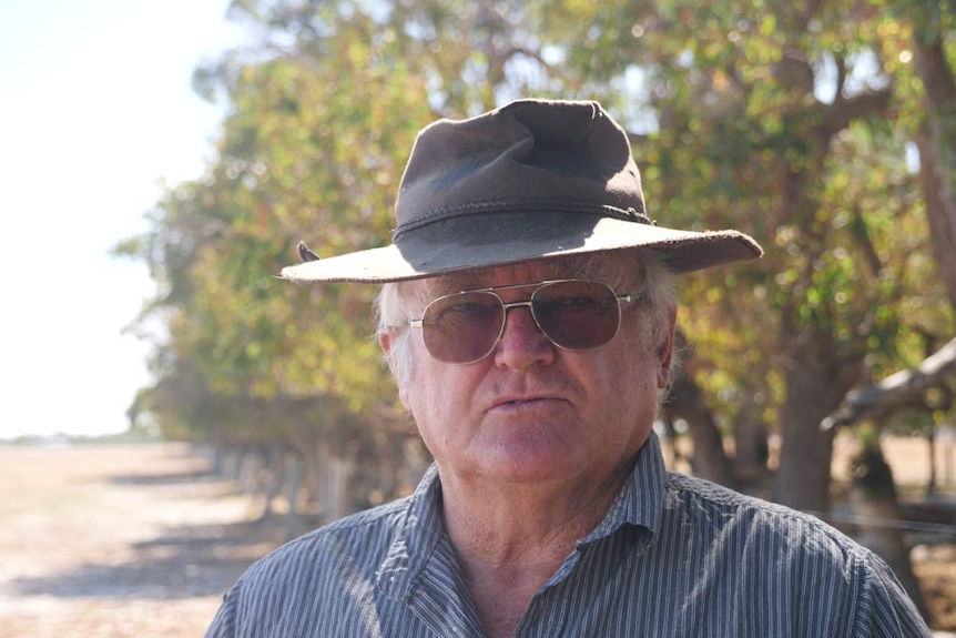 South West cattle farmer Geoff Willis standing in a paddock