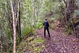 Unidentified bushwalker on the Huon Track, southern Tasmania.