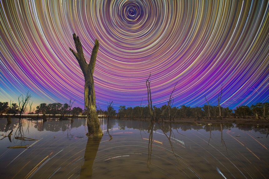 Rings of blurred pink, blue, yellow and purple stars form over a tree-lined lake.