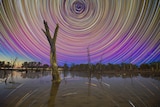 Rings of blurred pink, blue, yellow and purple stars form over a tree-lined lake.