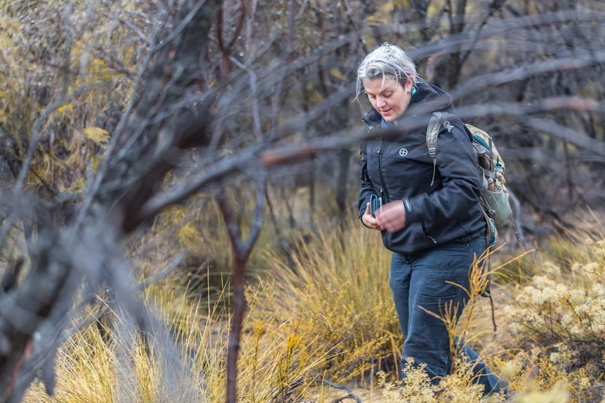 Spider scientist Dr Leanda Mason walking through North Bungulla nature reserve