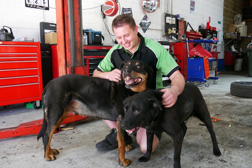 A young man in green shirt with arms around two large black dogs
