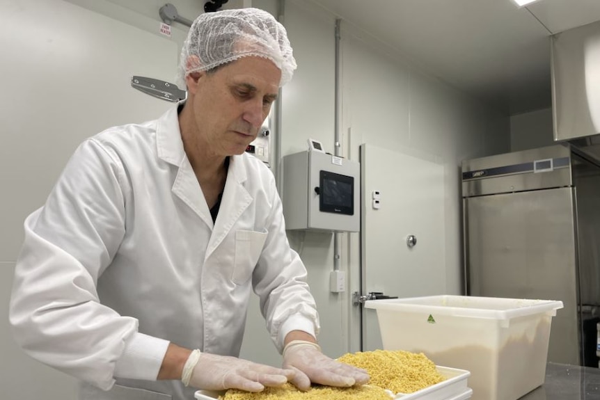Image of a man in a white lab coat pressing a yellow substance into a tray.