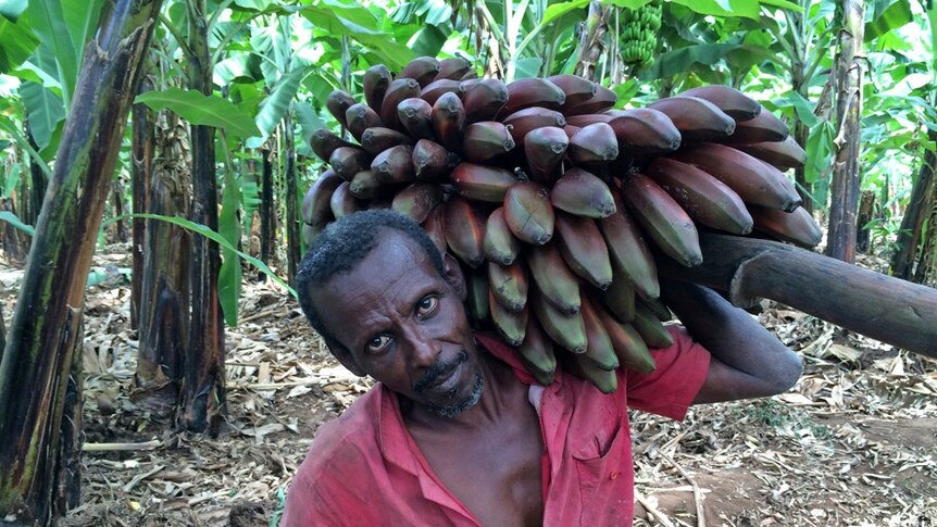 A man carrying bananas