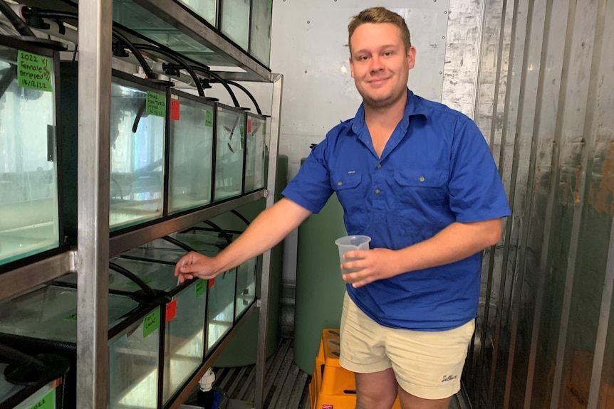 Zac Rolfe feeds larvae fish live brine shrimp from a plastic cup