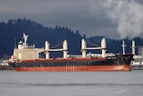 Long bulk carrier ship, blue and red