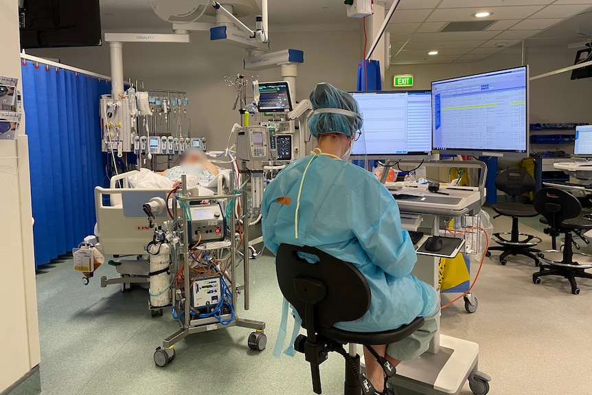 A person wearing PPE sits at a computer while in front of her is a patient in a hospital bed,