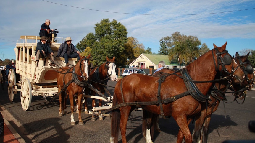 The horse and carriage setting off from Surat on Saturday.