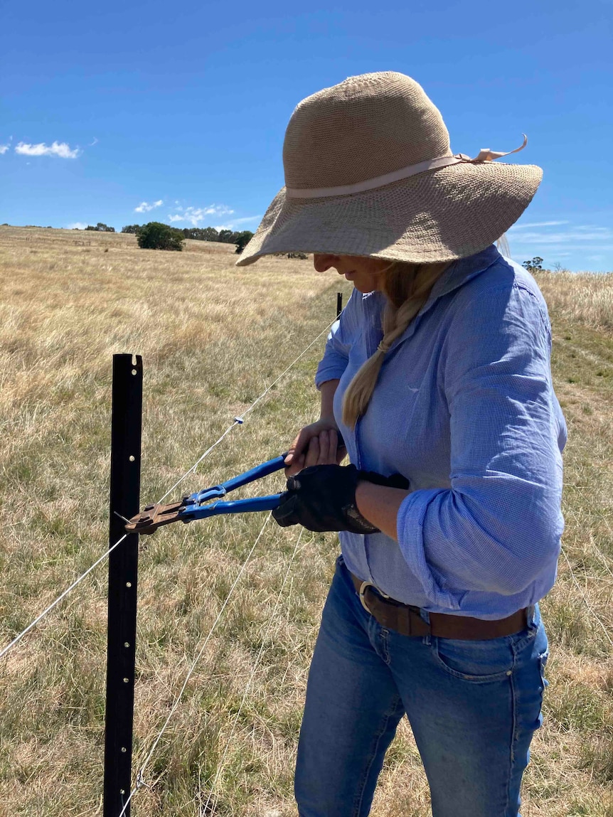 A woman wearing jeans, a blue shirt, and a hat, holds pliers to a fence wire. 