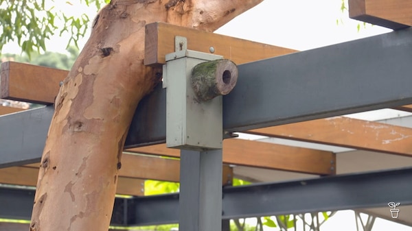 Bird box attached to a the side of a pergola.