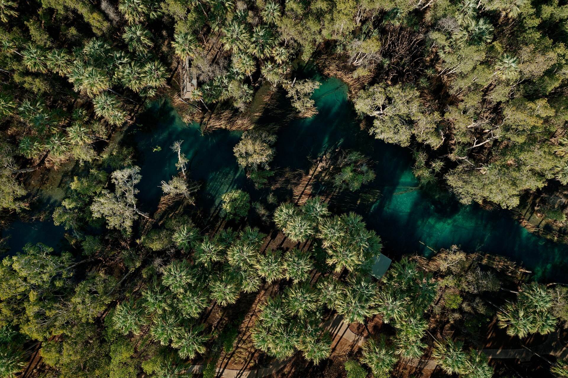 An aerial view of a blue river winding through green trees on its banks.