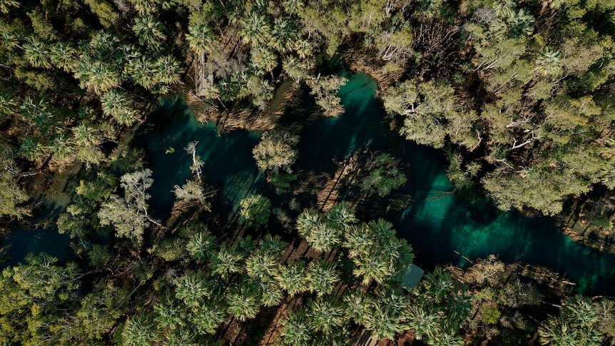 An aerial view of a blue river winding through green trees on its banks.