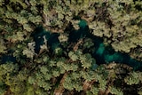 An aerial view of a blue river winding through green trees on its banks.