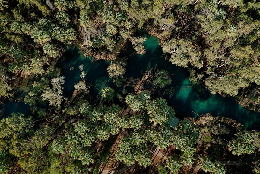 An aerial view of a blue river winding through green trees on its banks.