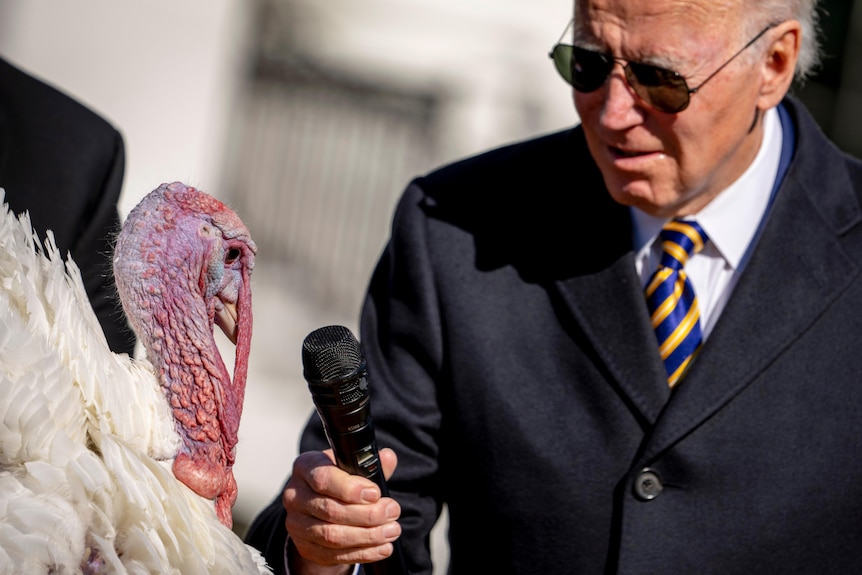 Joe Biden holds microphone next to turkey
