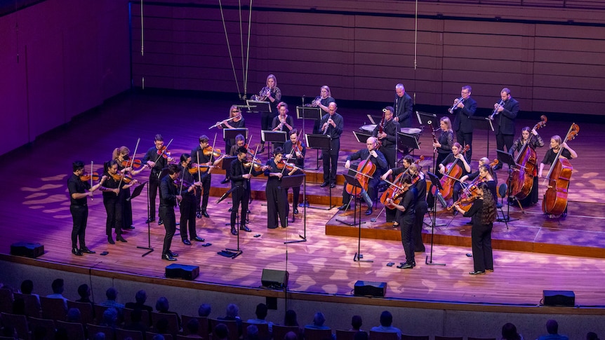 A chamber orchestra on stage, lit in blues and purples, and dressed in black, performing to an audience in Brisbane