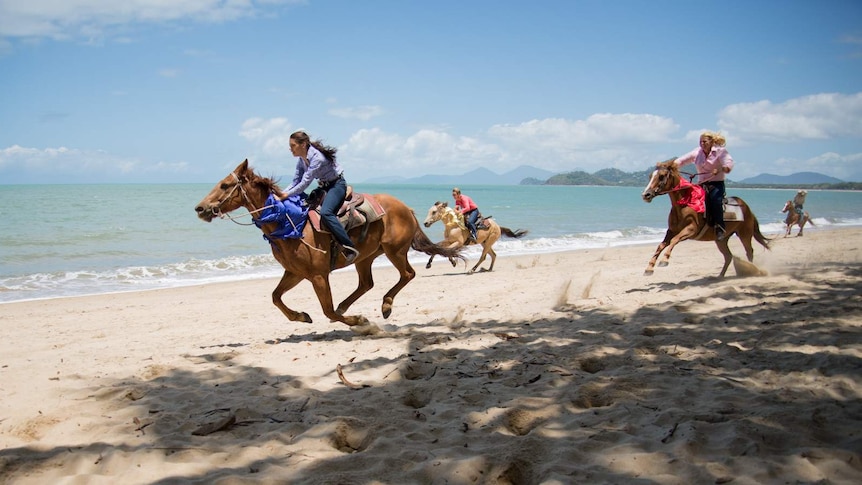 A chestnut horse and rider gallop to the lead in a race along the beach in Palm Cove, far north Queensland.