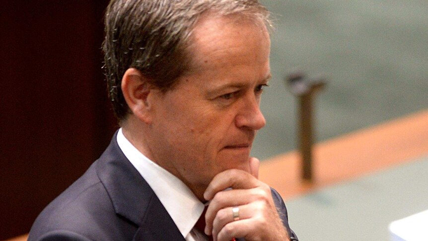 Opposition Leader Bill Shorten will need to ponder his next move against the Government.