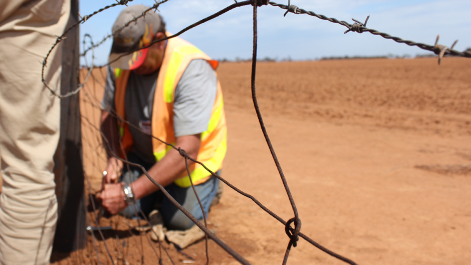 A man kneeling down in a high visibility outfit work in a field to fix a fence.