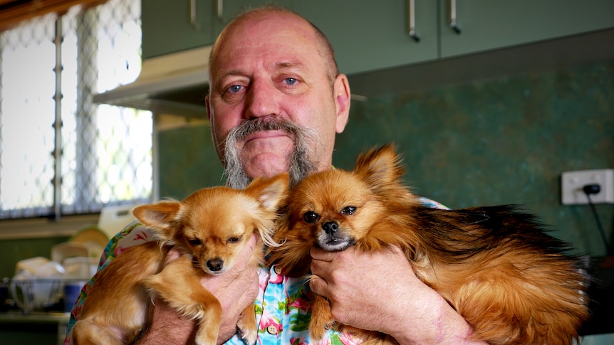 A man hugs two small dogs