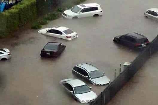 Cars submerged in water outside the Traffic Accident Commission in Geelong.