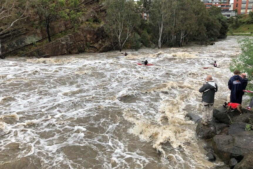 Kayakers in the white water of the Yarra River at Dights Falls.