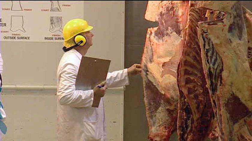 A vaccine could reduce E-coli bacteria in cattle to reduce food poisoning from beef.