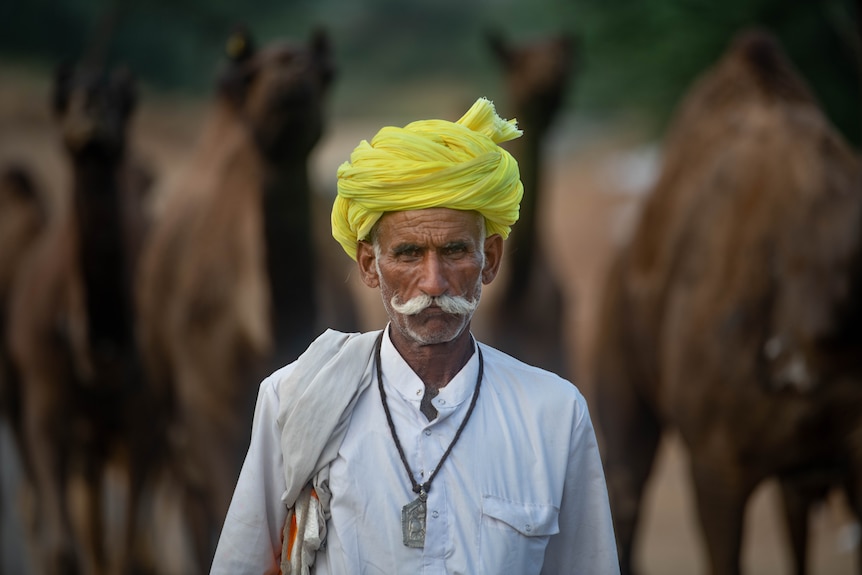 A man in a yellow turban looks at the camera.