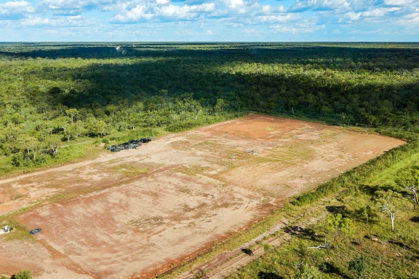 A small clearing amid lush green forrest.