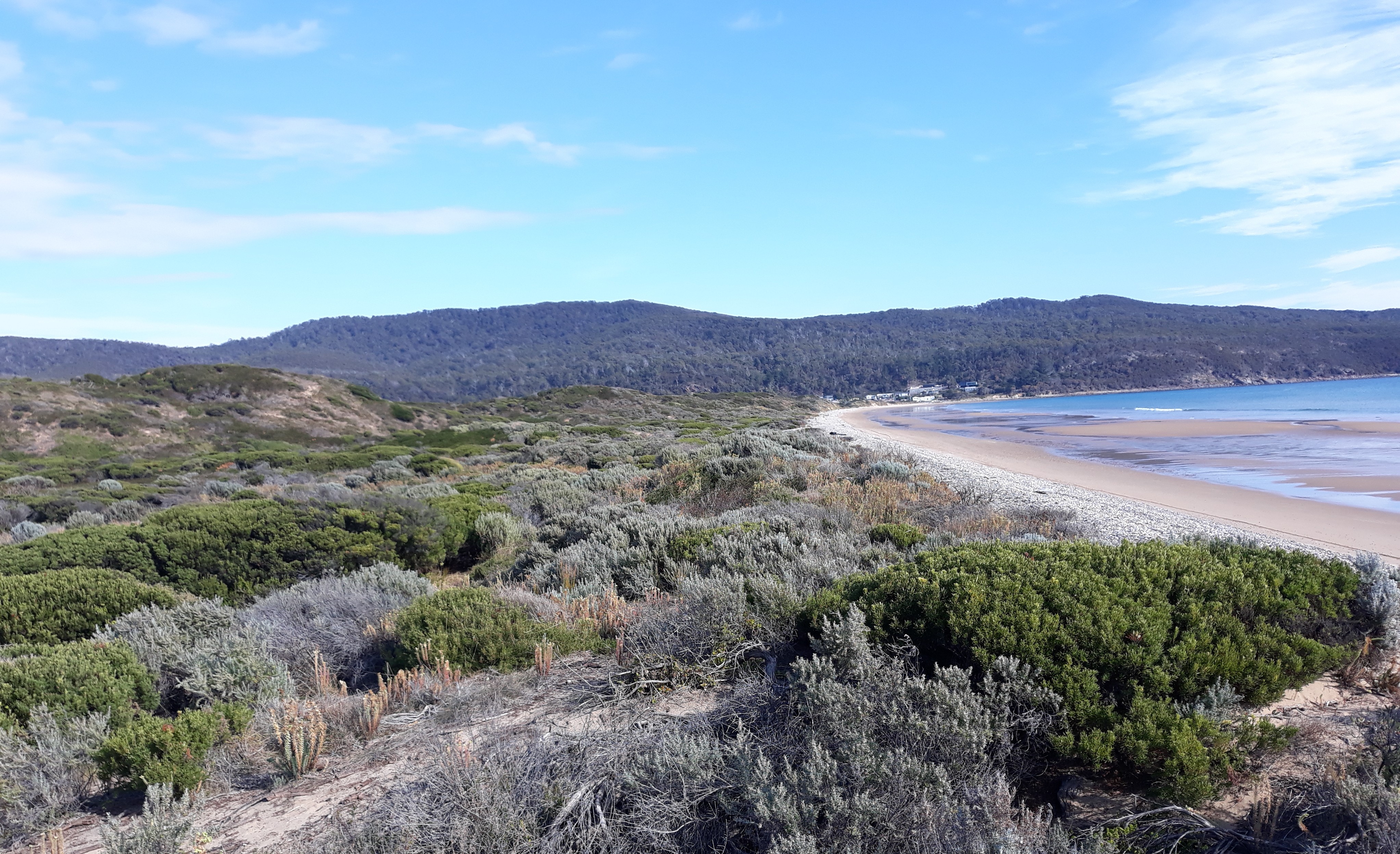 Coastal scrub sweeps down to a beach with a mountain range in the foreground