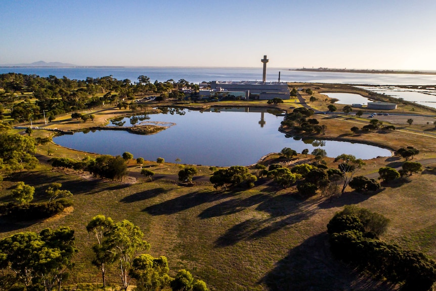 Wide shot of the CSIRO's Australian Animal Health Laboratory in Geelong, showing a lake and greenery.