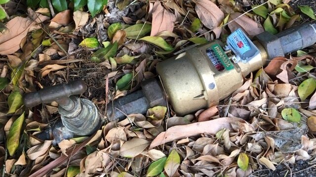 The water meter is obscured by a hedge in the front yard of Mrs Johnston's Ballina home.