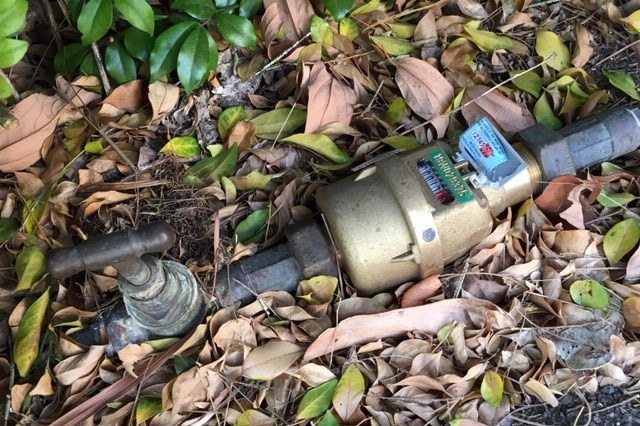 The water meter is obscured by a hedge in the front yard of Mrs Johnston's Ballina home.