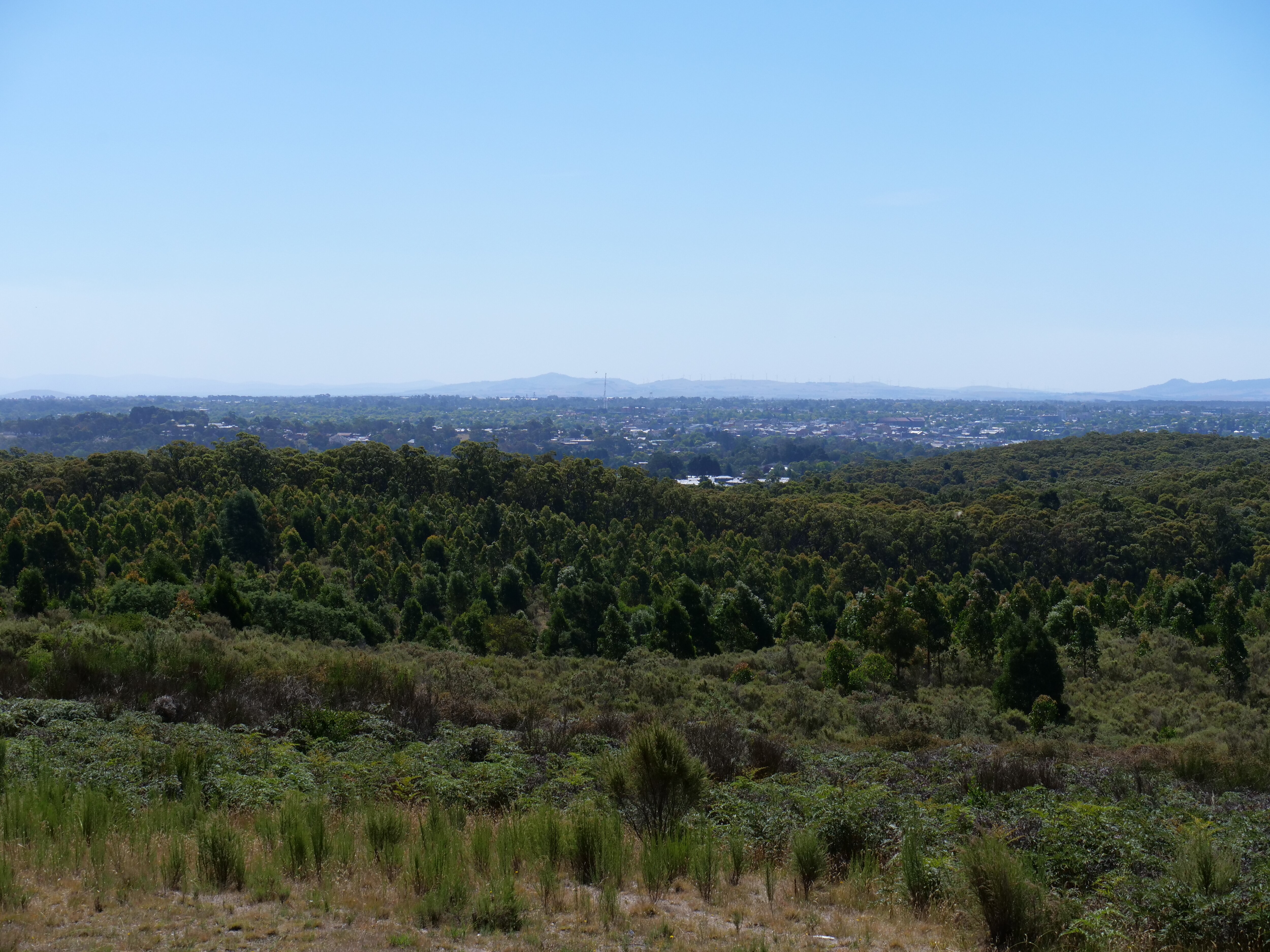 A view over Ballarat with trees in the foreground.