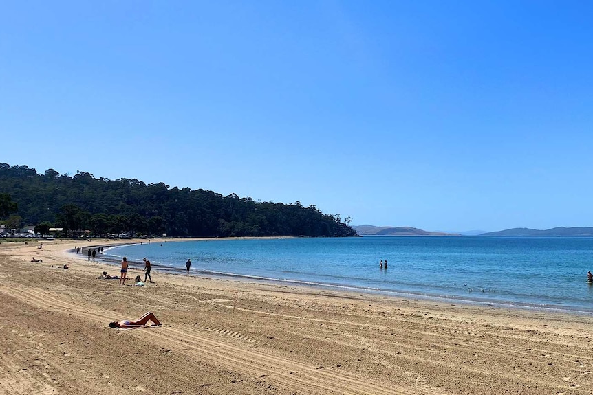 Kingston Beach, near Hobart, Friday 1 March, 2019.