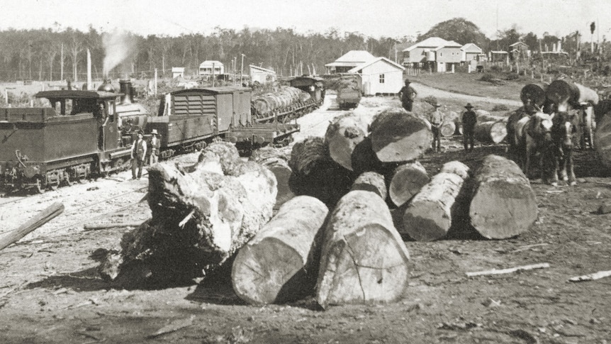 Big logs at railway station