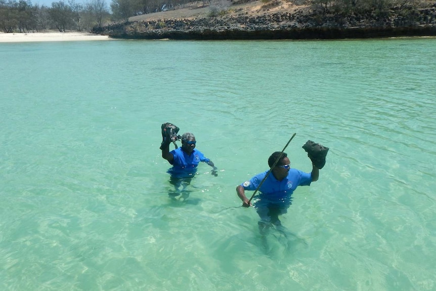 Two sea rangers wade through hip-deep water off of Groote Eylandt.