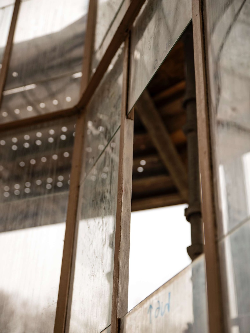 Botanic Gardens glass house slat