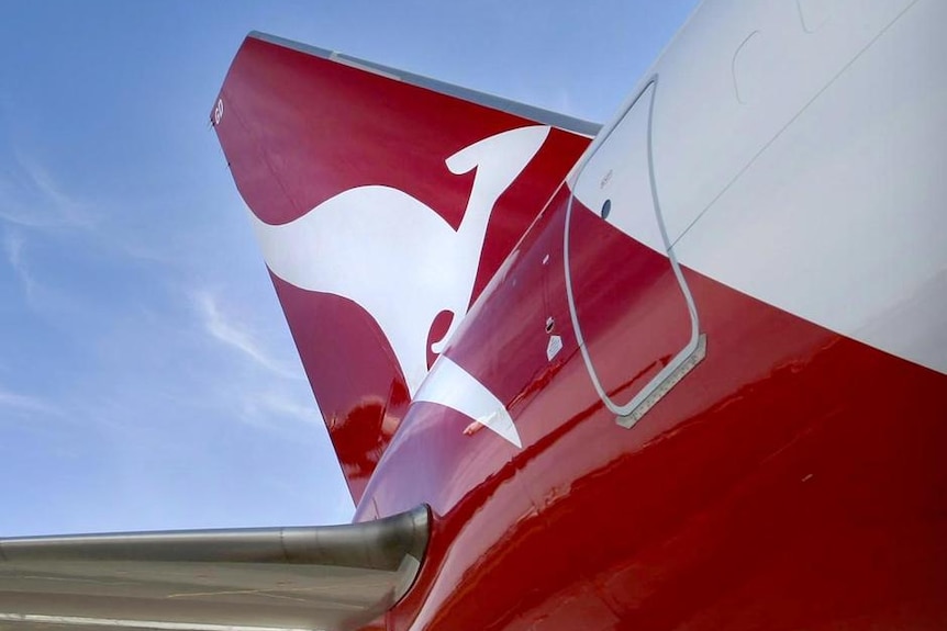 Flying kangaroo logo on Qantas aircraft tail.