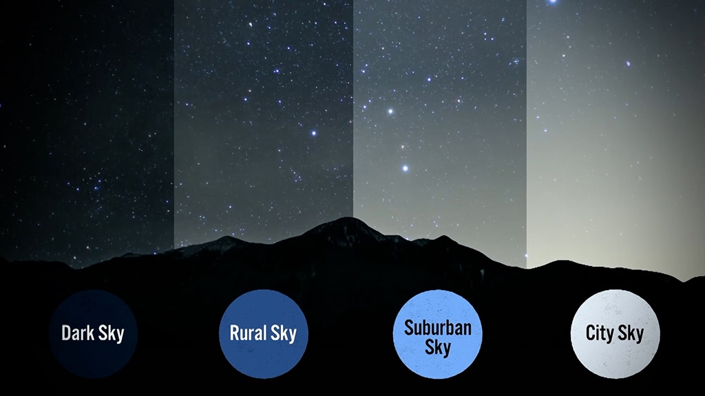 Garden Light Pollution | Lightbulb Moment - Gardening Australia