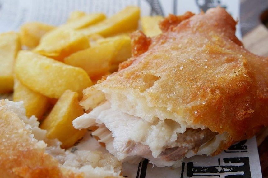 Half eaten battered Barramundi on a wooden board and with a few chips