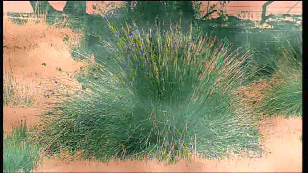 Farrell Flat 5416 Location ABC News