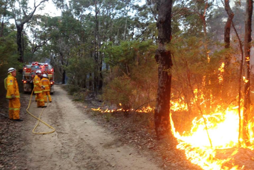 RFS volunteers continue back-burning at a bushfire at Warrimoo